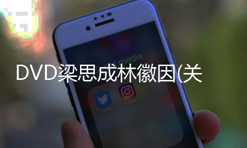 DVD梁思成林徽因(關于DVD梁思成林徽因簡述)