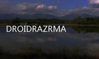 DROIDRAZRMAXXHD運行JellyBean