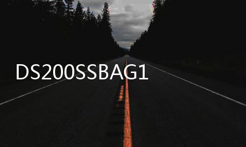 DS200SSBAG1BAA 模塊