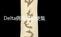 Delta病毒蔓延使集運市場更加混亂，美國海運航線運價破兩萬美元