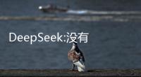 DeepSeek:沒有人脈，沒有錢的青年人建議