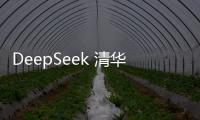 DeepSeek 清華原版寶典：工作、學習、生活、科研中的難題，輕松搞定