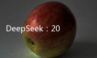 DeepSeek：2025光伏分布式政策解讀與應對