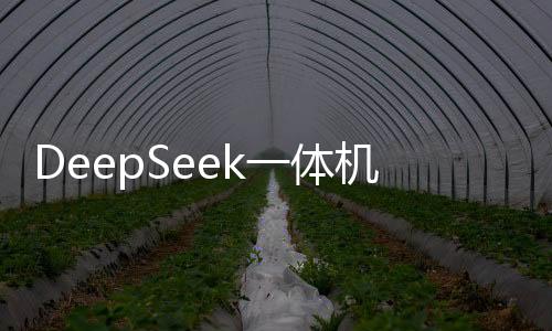 DeepSeek一體機背后，國產算力芯片崛起