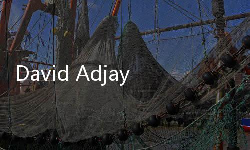 David Adjaye于近日公布了其哈姆萊博物館設計方案（圖）