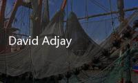 David Adjaye于近日公布了其哈姆萊博物館設計方案（圖）