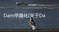 Dam甲基化(關于Dam甲基化簡述)