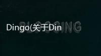 Dingo(關于Dingo簡述)