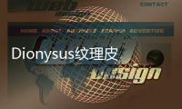 Dionysus紋理皮革單肩包(關(guān)于Dionysus紋理皮革單肩包簡述)