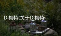 D·梅特(關于D·梅特簡述)