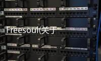 Freesoul(關于Freesoul簡述)