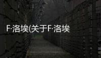 F·洛埃(關于F·洛埃簡述)