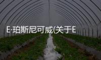 E·珀斯尼可威(關于E·珀斯尼可威簡述)