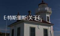 E·特斯里斯(關于E·特斯里斯簡述)