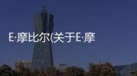 E·摩比爾(關于E·摩比爾簡述)