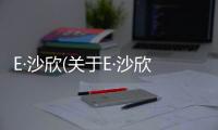 E·沙欣(關于E·沙欣簡述)