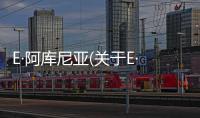 E·阿庫尼亞(關(guān)于E·阿庫尼亞簡述)