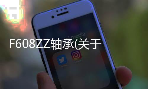 F608ZZ軸承(關(guān)于F608ZZ軸承簡述)