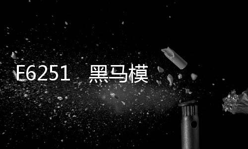 F6251   黑馬模塊