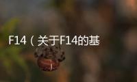 F14（關(guān)于F14的基本情況說(shuō)明介紹）