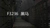 F3236  黑馬