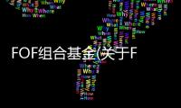 FOF組合基金(關于FOF組合基金簡述)