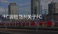 FC冒險島3(關于FC冒險島3簡述)