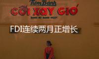 FDI連續(xù)兩月正增長
