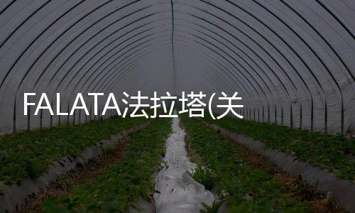 FALATA法拉塔(關(guān)于FALATA法拉塔簡(jiǎn)述)