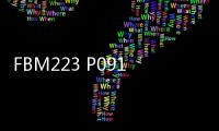 FBM223 P0917HD