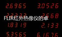 FLIR紅外熱像儀的卓越熱靈敏度