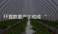 FF首款量產(chǎn)車或成 “百公里加速新王者”