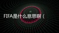 FIFA是什么意思啊（fifa是什么意思）