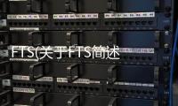 FTS(關(guān)于FTS簡述)