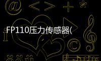 FP110壓力傳感器(關(guān)于FP110壓力傳感器簡述)