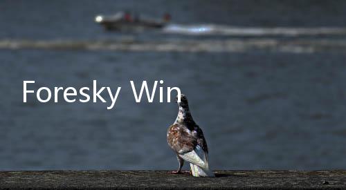Foresky Wing 暗黑武士款手鏈好嗎？哪里買？