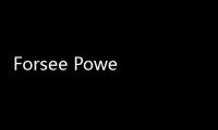 Forsee Power推出下一代模塊化電池