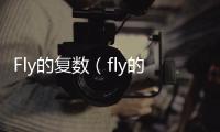 Fly的復(fù)數(shù)（fly的復(fù)數(shù)形式）