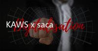 KAWS x sacai 全新聯乘系列 Lookbook 賞析