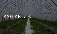 KAELANkaela