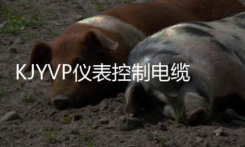 KJYVP儀表控制電纜(關于KJYVP儀表控制電纜簡述)