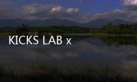 KICKS LAB x 阿迪達斯 2020 秋冬聯名鞋款開售，栗棕主調