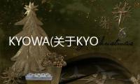 KYOWA(關(guān)于KYOWA簡(jiǎn)述)