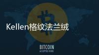 Kellen格紋法蘭絨睡衣套裝(關(guān)于Kellen格紋法蘭絨睡衣套裝簡述)