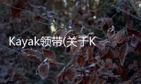 Kayak領(lǐng)帶(關(guān)于Kayak領(lǐng)帶簡(jiǎn)述)