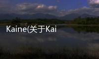Kaine(關于Kaine簡述)