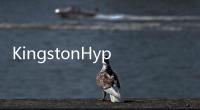 KingstonHyperX「隨插即用」高效能記憶體自動超頻一插就靈