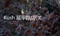 Kush 延平路店(關于Kush 延平路店簡述)