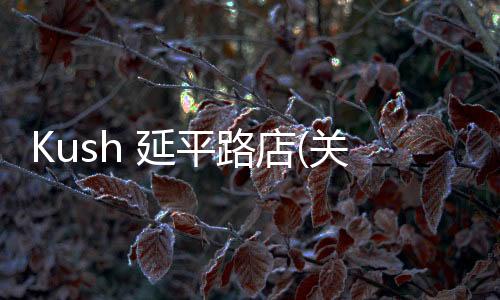 Kush 延平路店(關于Kush 延平路店簡述)