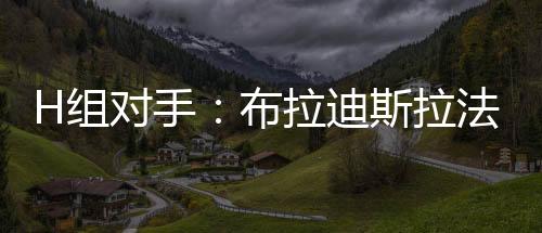 H組對手：布拉迪斯拉法